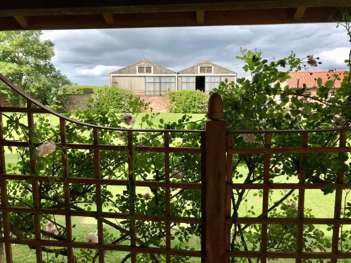 Charming Hen Cottage Countryside Retreat Lincoln Newball Luaran gambar