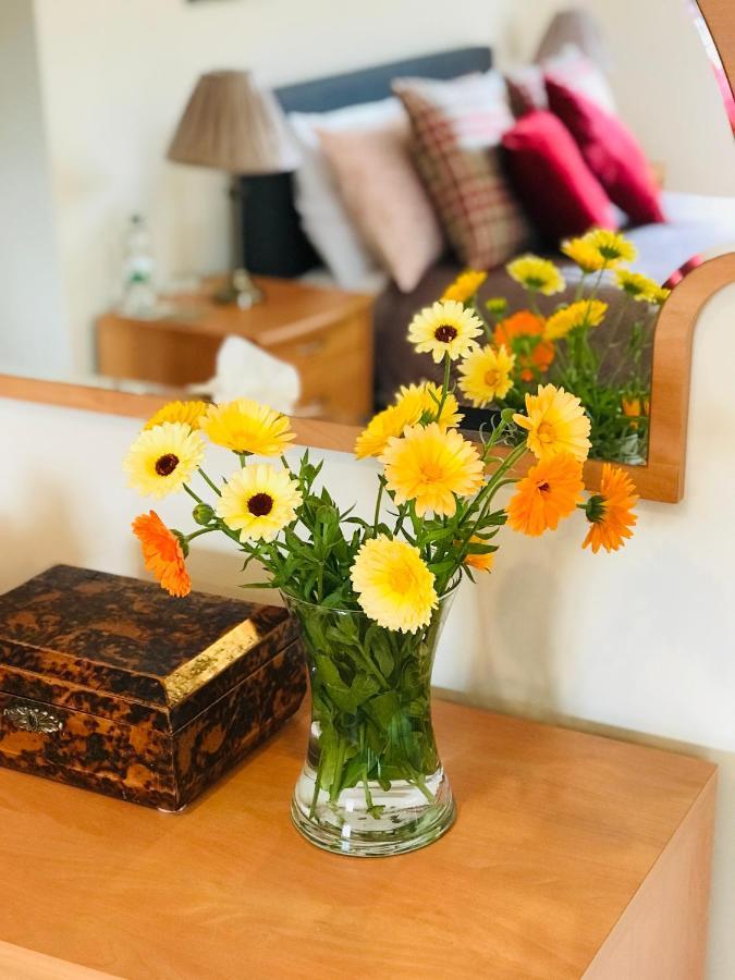 Charming Hen Cottage Countryside Retreat Lincoln Newball Luaran gambar