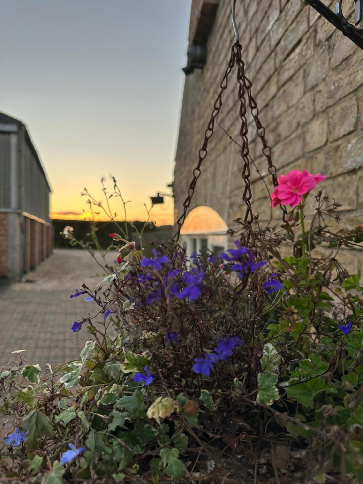 Charming Hen Cottage Countryside Retreat Lincoln Newball Luaran gambar
